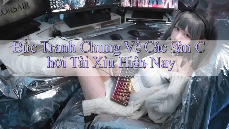 Bức Tranh Chung Về Các Sàn Chơi Tài Xỉu Hiện Nay
