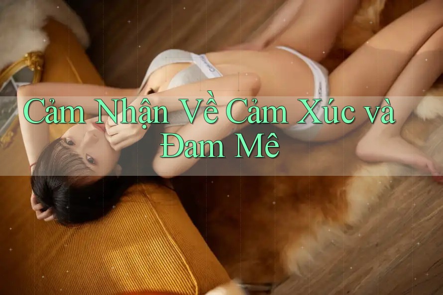 Cảm Nhận Về Cảm Xúc và Đam Mê Cảm Nhận Về Cảm Xúc và Đam Mê