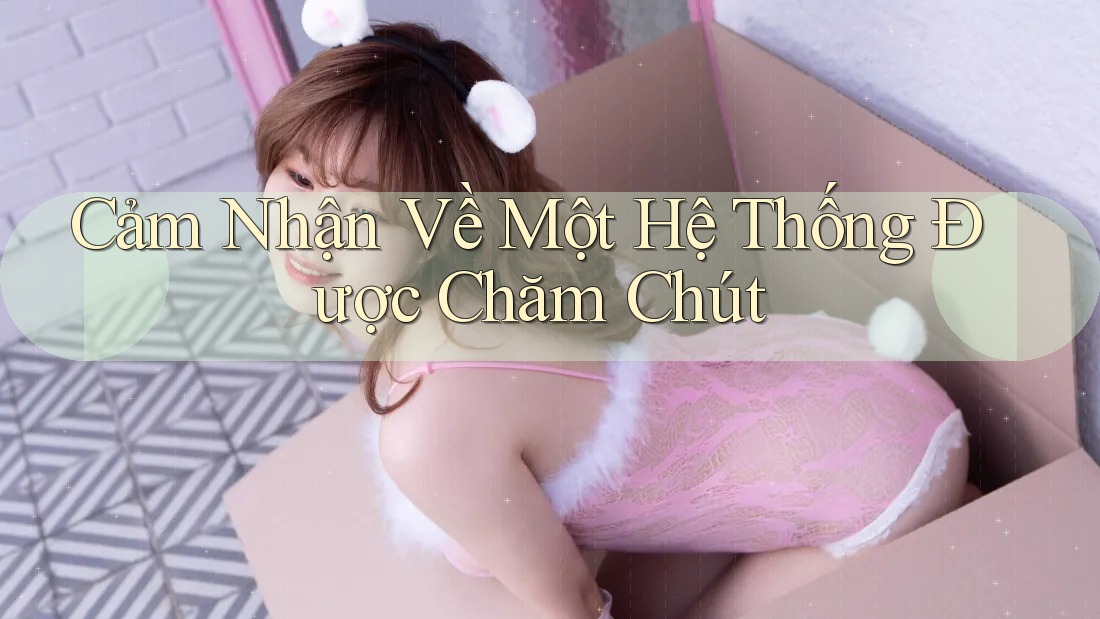 Cảm Nhận Về Một Hệ Thống Được Chăm Chút Cảm Nhận Về Một Hệ Thống Được Chăm Chút