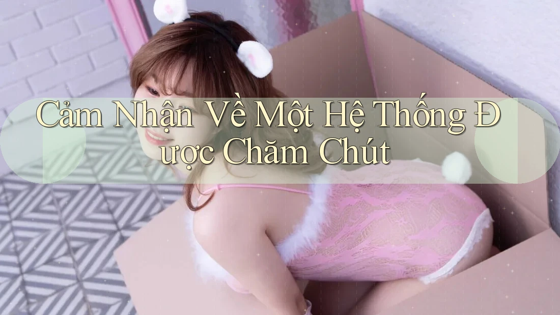 Cảm Nhận Về Một Hệ Thống Được Chăm Chút Cảm Nhận Về Một Hệ Thống Được Chăm Chút