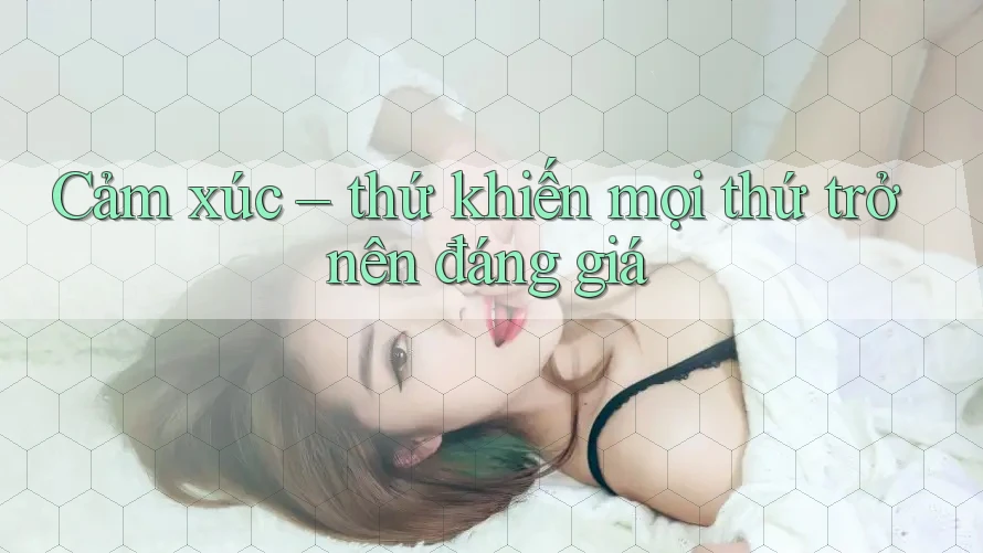 Cảm xúc – thứ khiến mọi thứ trở nên đáng giá Cảm xúc – thứ khiến mọi thứ trở nên đáng giá