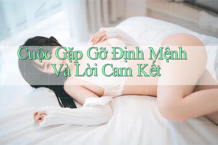 Cuộc Gặp Gỡ Định Mệnh Và Lời Cam Kết Cuộc Gặp Gỡ Định Mệnh Và Lời Cam Kết