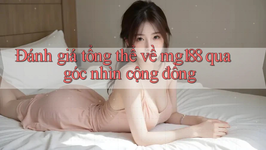 Đánh giá tổng thể về mg188 qua góc nhìn cộng đồng Đánh giá tổng thể về mg188 qua góc nhìn cộng đồng