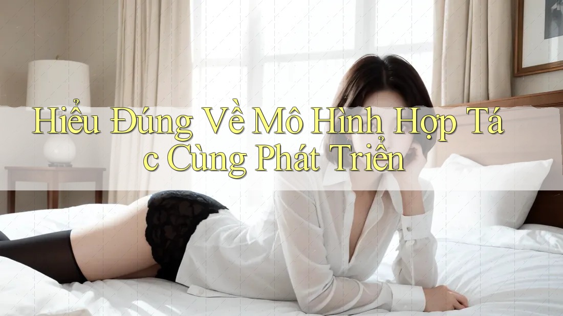 Hiểu Đúng Về Mô Hình Hợp Tác Cùng Phát Triển Hiểu Đúng Về Mô Hình Hợp Tác Cùng Phát Triển