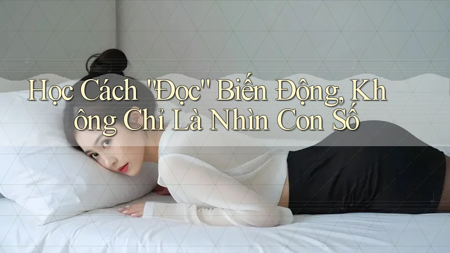 Học Cách “Đọc” Biến Động, Không Chỉ Là Nhìn Con Số Học Cách “Đọc” Biến Động, Không Chỉ Là Nhìn Con Số
