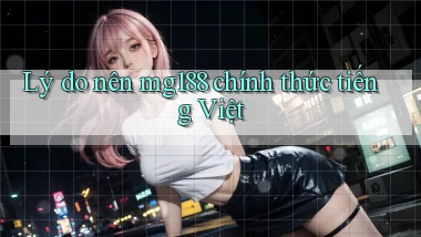 lý do nên mg188 chính thức tiếng việt