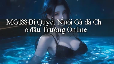 mg188  bí quyết nuôi gà đá cho đấu trường online