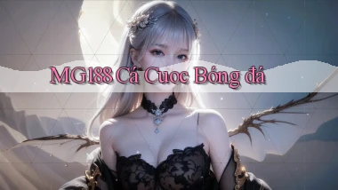 mg188 ca cuoc bóng đá