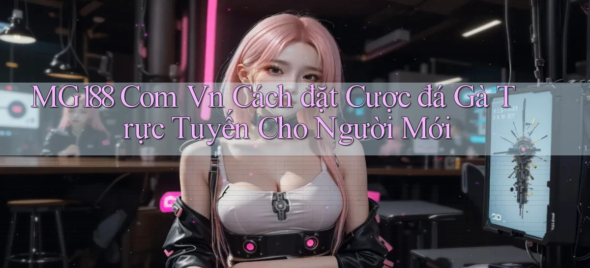mg188 com vn cách đặt cược đá gà trực tuyến cho người mới