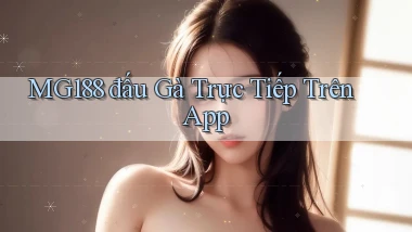 mg188  đấu gà trực tiếp trên app