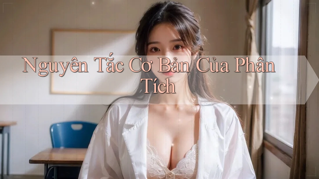 Nguyên Tắc Cơ Bản Của Phân Tích Nguyên Tắc Cơ Bản Của Phân Tích