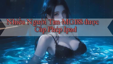 nhiều người tìm mg188 được cấp phép ipad