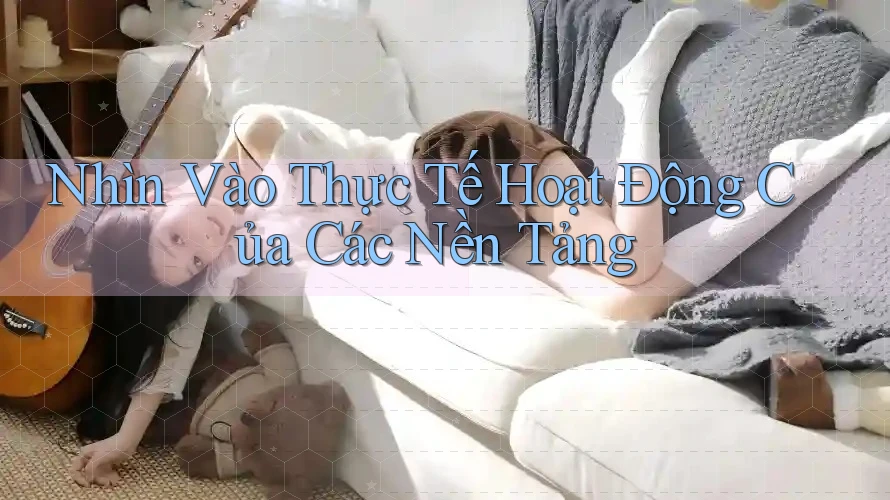Nhìn Vào Thực Tế Hoạt Động Của Các Nền Tảng Nhìn Vào Thực Tế Hoạt Động Của Các Nền Tảng