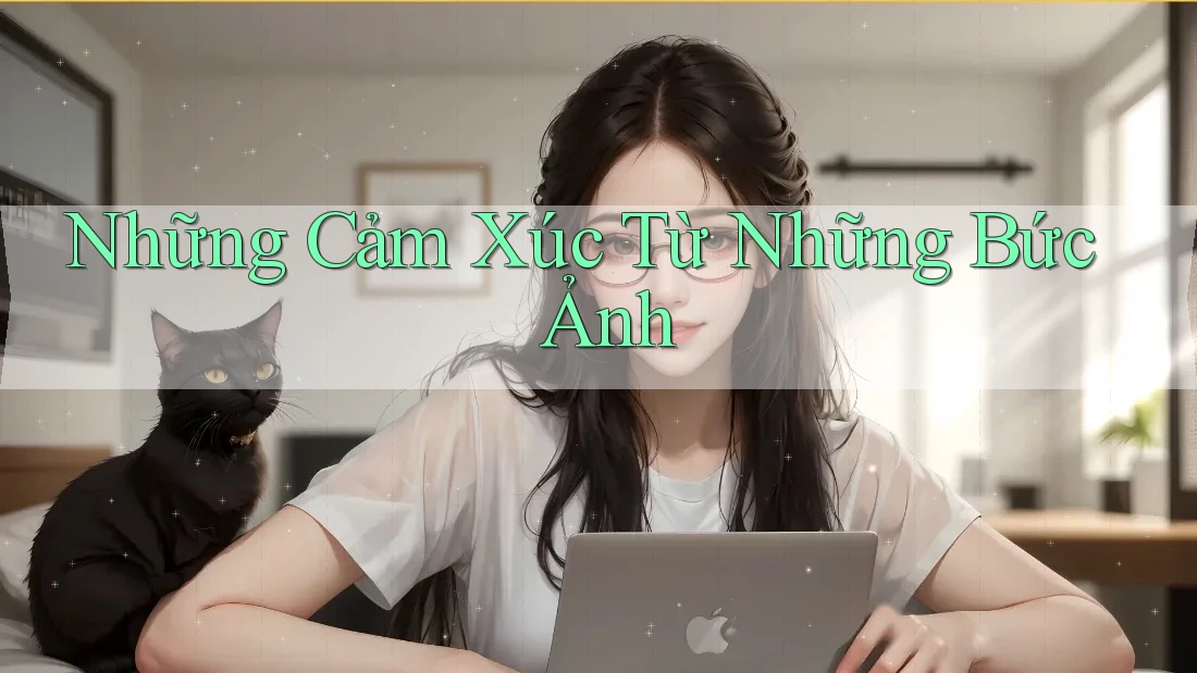 Những Cảm Xúc Từ Những Bức Ảnh Những Cảm Xúc Từ Những Bức Ảnh