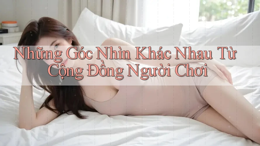 Những Góc Nhìn Khác Nhau Từ Cộng Đồng Người Chơi