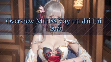 overview mg188 vay ưu đãi lãi suất