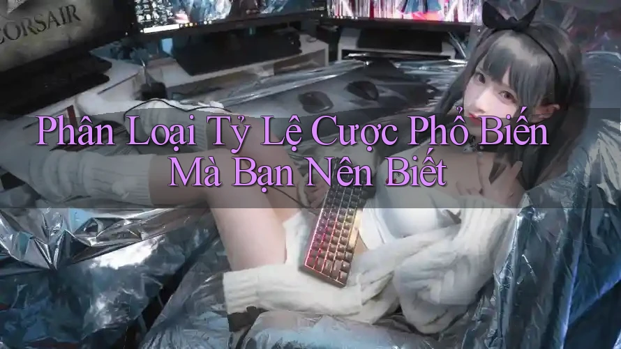 Phân Loại Tỷ Lệ Cược Phổ Biến Mà Bạn Nên Biết