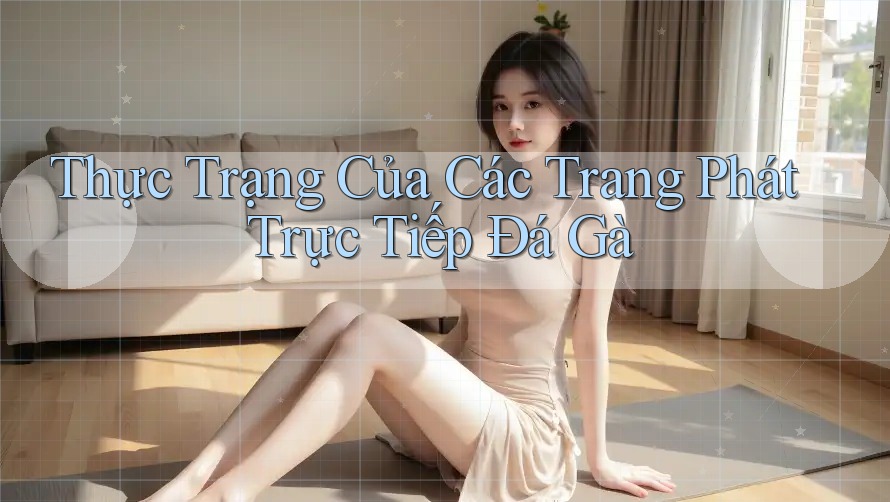 Thực Trạng Của Các Trang Phát Trực Tiếp Đá Gà Thực Trạng Của Các Trang Phát Trực Tiếp Đá Gà
